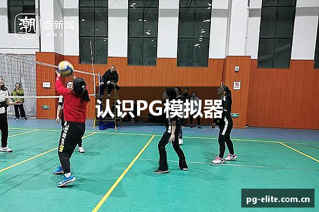 认识PG模拟器